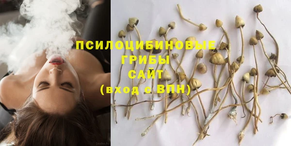 ECSTASY Галич