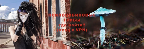 винт Переславль-Залесский
